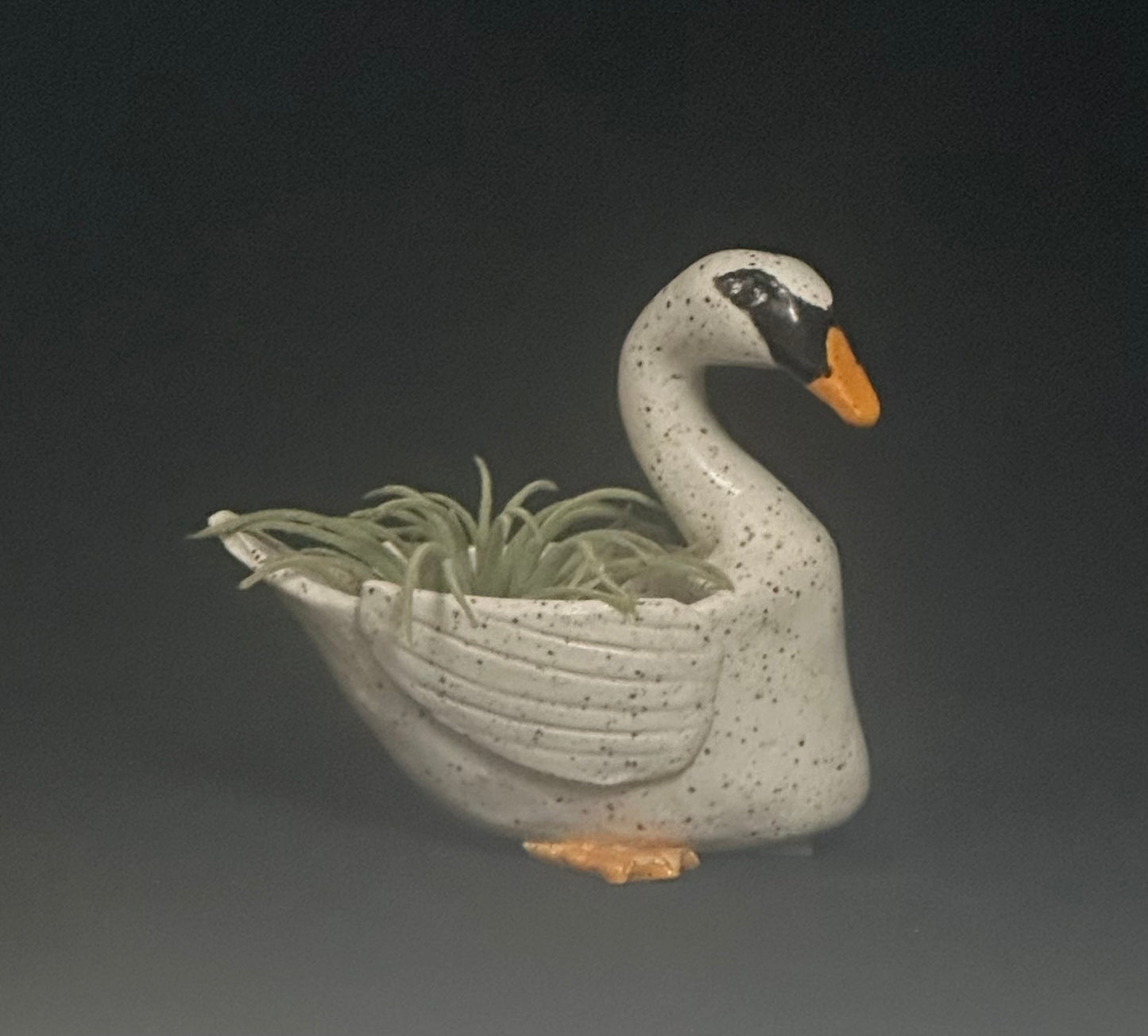 Duck Planter