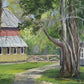 The Barn — Original Plein Air Painting by Glinda Schafer