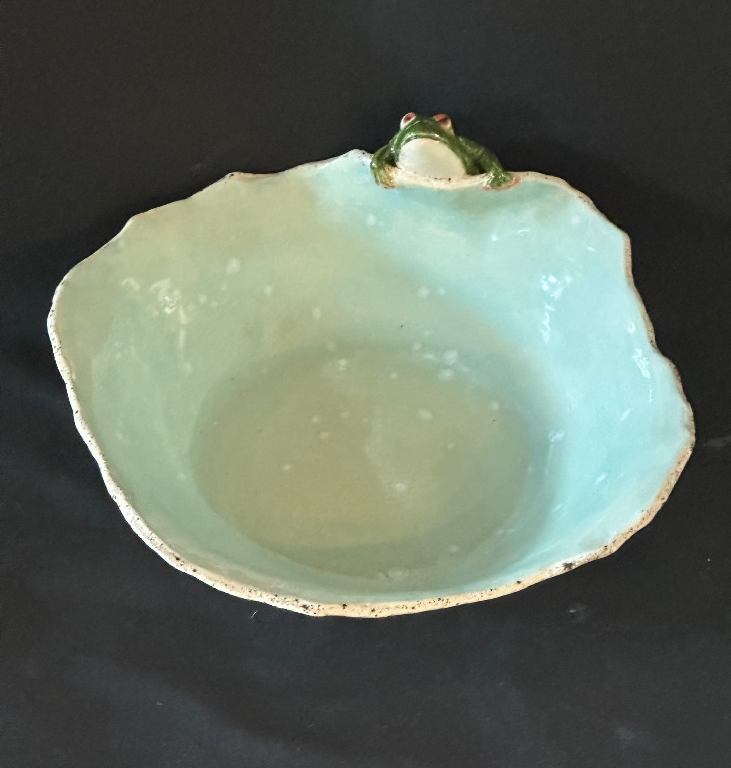 The Pond Peeper Bowl