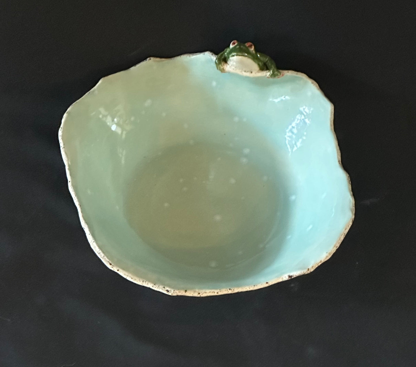 The Pond Peeper Bowl