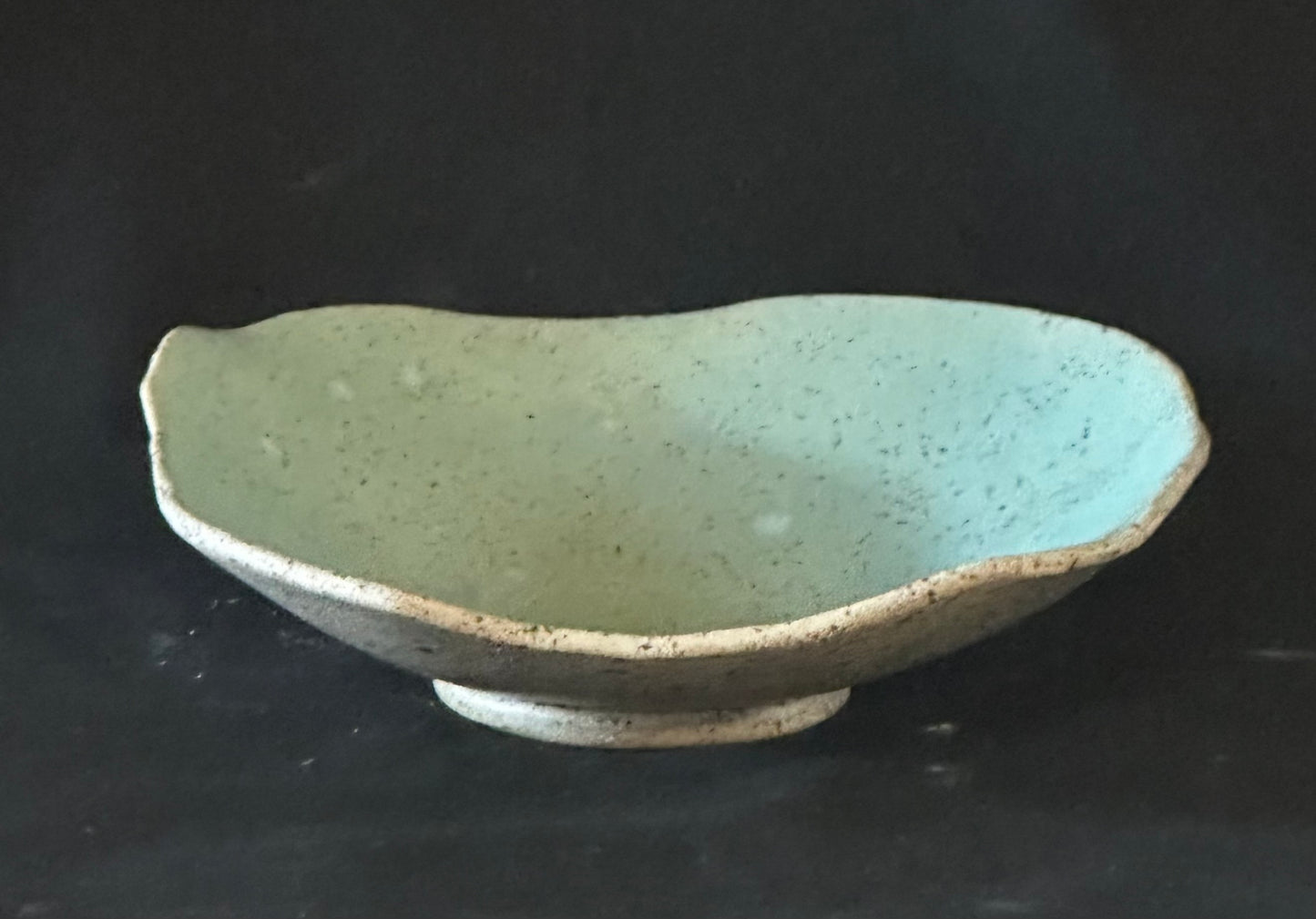 Speckled Multi-Colored Bowl — Handcrafted Ceramic Art