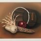 The Harvest