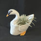 Swan Planter