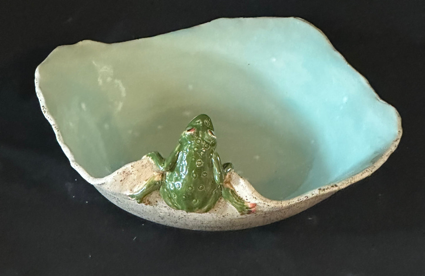 The Pond Peeper Bowl