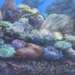 Neptune's Garden II — Original Painting by Glinda Schafer