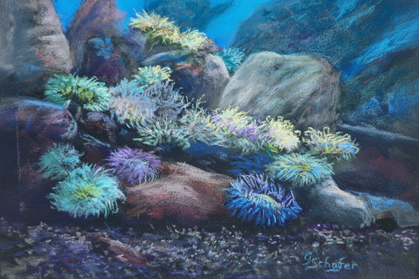 Original pastel painting of underwater anemones and flora by Glinda Schafer, Audubon Aquarium New Orleans — Helping Hands Gallery


